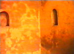 Shree Sai Dnyanapeeth Trust